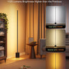 Govee Floor Lamp 2
