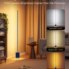 Govee Floor Lamp 2